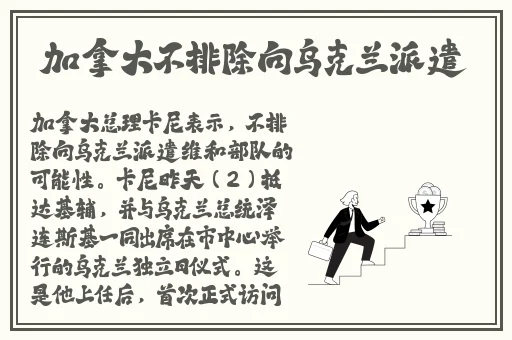 国产精华**
